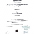 Powiększ obraz: certificate 3