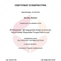 Powiększ obraz: certificate 4