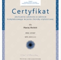 Powiększ obraz: certificate 1