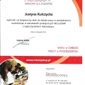 Powiększ obraz: certificate 45