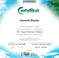 Powiększ obraz: certificate 19