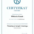 Powiększ obraz: certificate 4