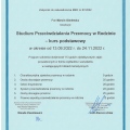 Powiększ obraz: certificate 1