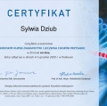 Powiększ obraz: certificate 6