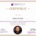 Powiększ obraz: certificate 11