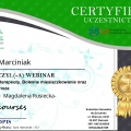 Powiększ obraz: certificate 14