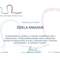 Powiększ obraz: certificate 7