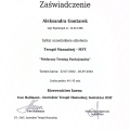 Powiększ obraz: certificate 11