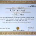 Powiększ obraz: certificate 11