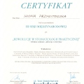 Powiększ obraz: certificate 9