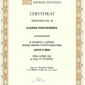 Powiększ obraz: certificate 16