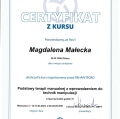Powiększ obraz: certificate 18