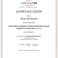 Powiększ obraz: certificate 6