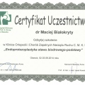 Powiększ obraz: certificate 9