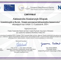 Powiększ obraz: certificate 2