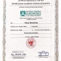 Powiększ obraz: certificate 4