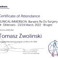 Powiększ obraz: certificate 35