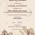 Powiększ obraz: certificate 4