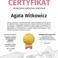 Powiększ obraz: certificate 5