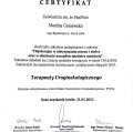 Powiększ obraz: certificate 1