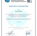 Powiększ obraz: certificate 13