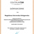 Powiększ obraz: certificate 2