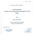 Powiększ obraz: certificate 6