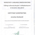 Powiększ obraz: certificate 4