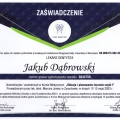 Powiększ obraz: certificate 6