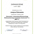 Powiększ obraz: certificate 3