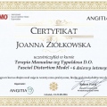 Powiększ obraz: certificate 9