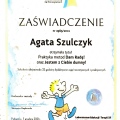 Powiększ obraz: certificate 10