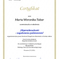 Powiększ obraz: certificate 11