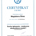 Powiększ obraz: certificate 5