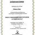 Powiększ obraz: certificate 4