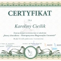Powiększ obraz: certificate 8