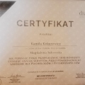 Powiększ obraz: certificate 7