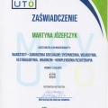 Powiększ obraz: certificate 14