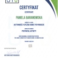 Powiększ obraz: certificate 8
