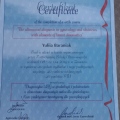 Powiększ obraz: certificate 1