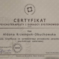 Powiększ obraz: certificate 1