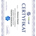 Powiększ obraz: certificate 1