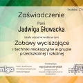 Powiększ obraz: certificate 2