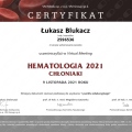 Powiększ obraz: certificate 106