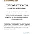 Powiększ obraz: certificate 9