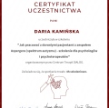 Powiększ obraz: certificate 21