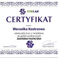 Powiększ obraz: certificate 2