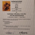 Powiększ obraz: certificate 7