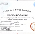 Powiększ obraz: certificate 4