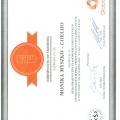 Powiększ obraz: certificate 11